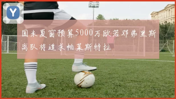 国米夏窗预算5000万欧若邓弗里斯离队将追求帕莱斯特拉