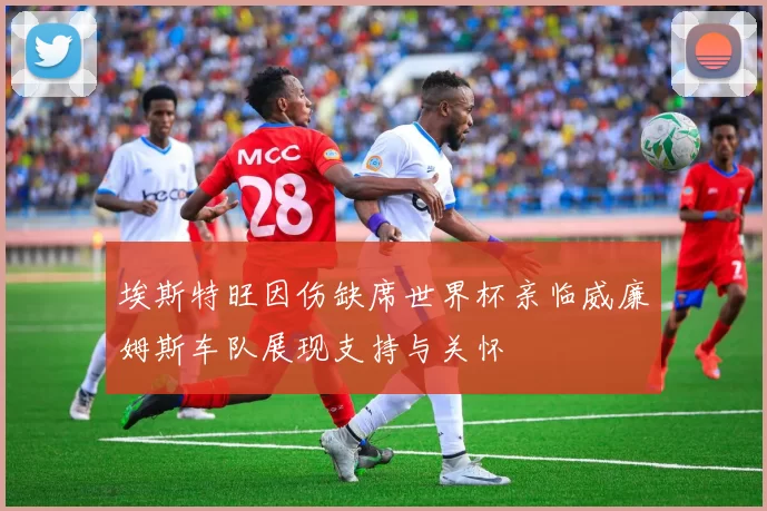 埃斯特旺因伤缺席世界杯亲临威廉姆斯车队展现支持与关怀
